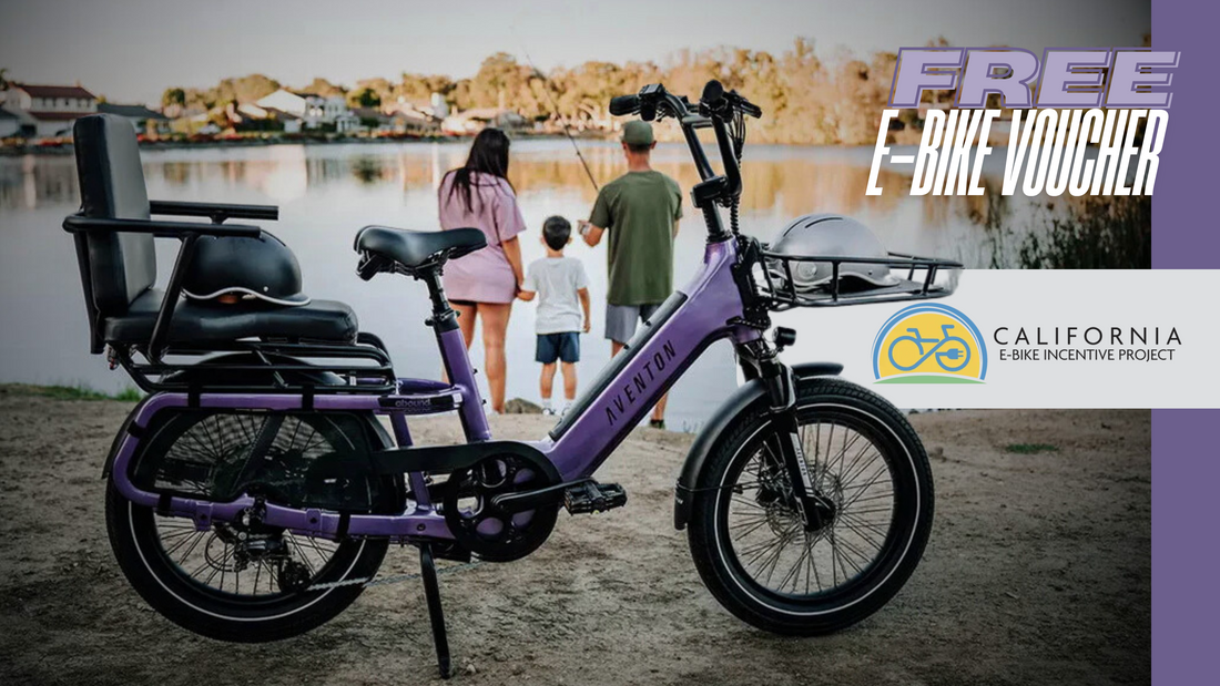 California E-Bike Incentive Project
