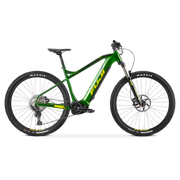 Fuji Ambient EVO 29 1.3