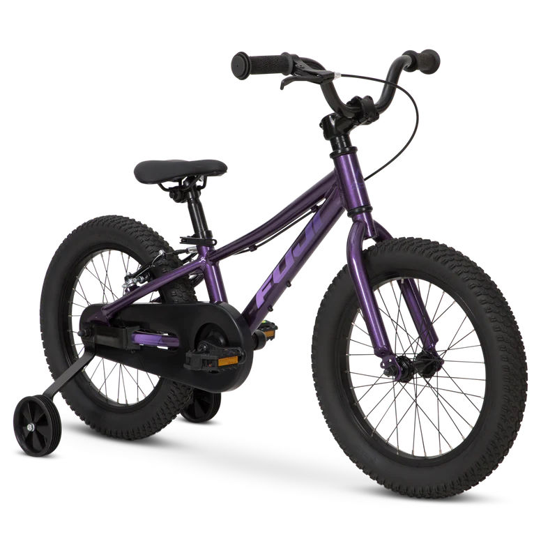 Fuji Dynamite 16 Coaster
