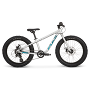 Fuji Dynamite 20+