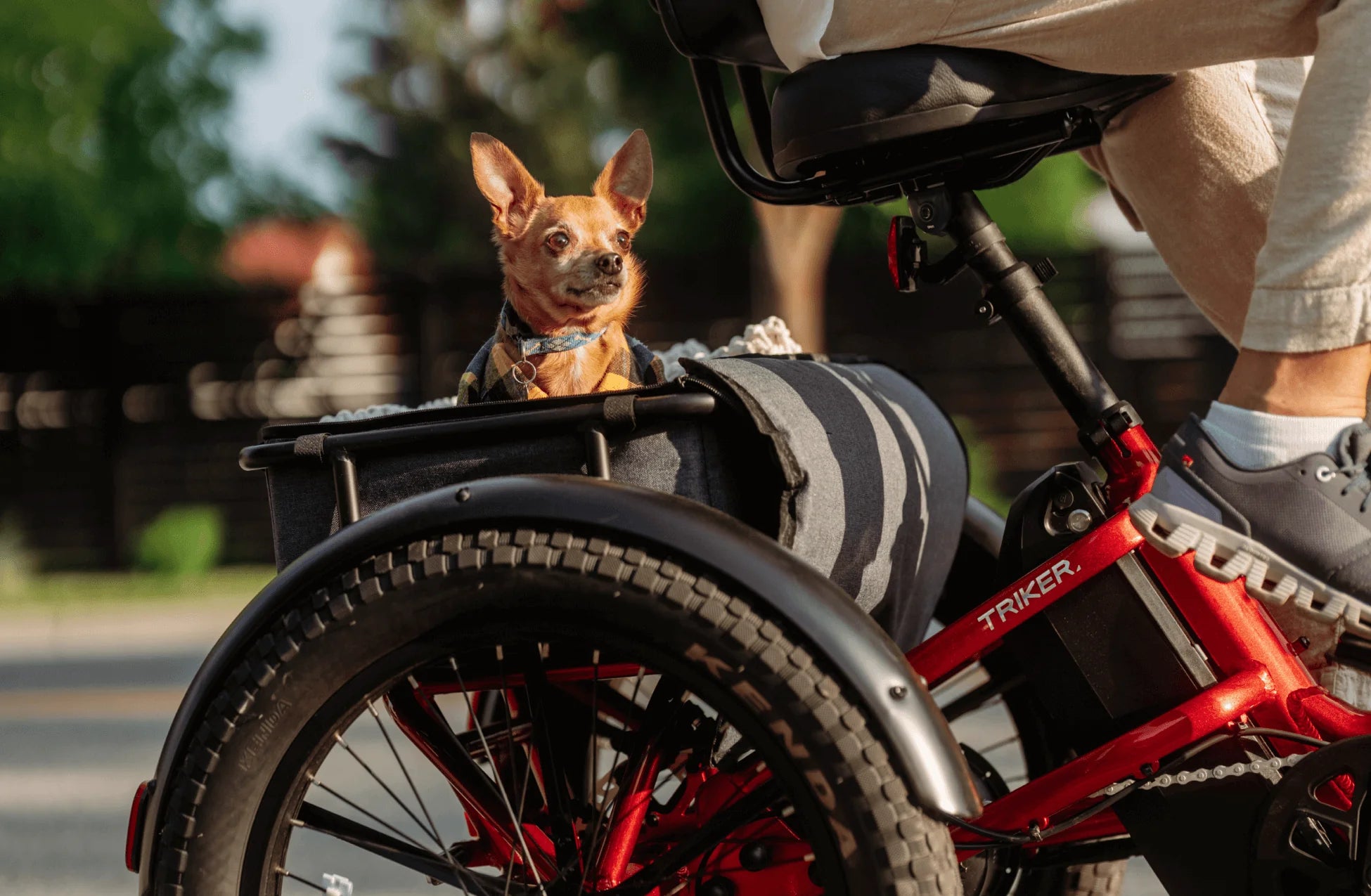 Velotric Triker Electric Tricycle