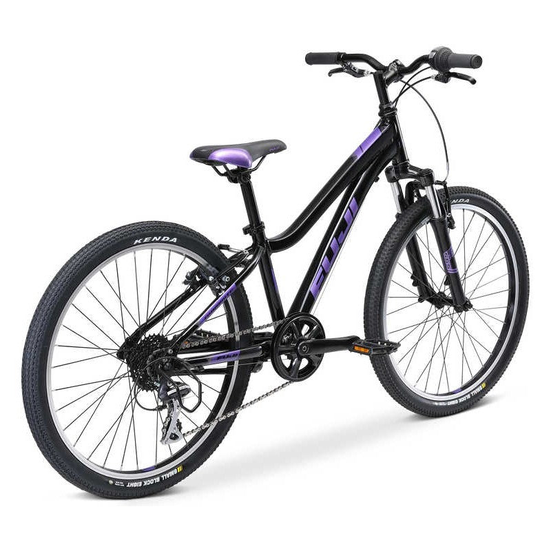 Fuji Dynamite 24 Comp